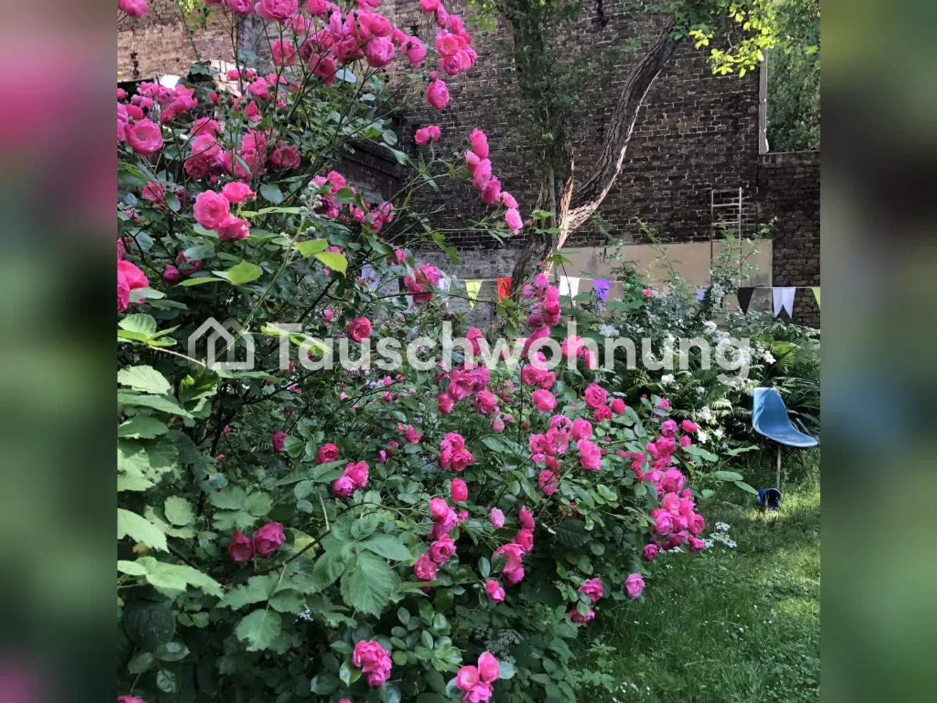 2 Zimmer Wohnung mit 43 m² in Berlin – Bild 1