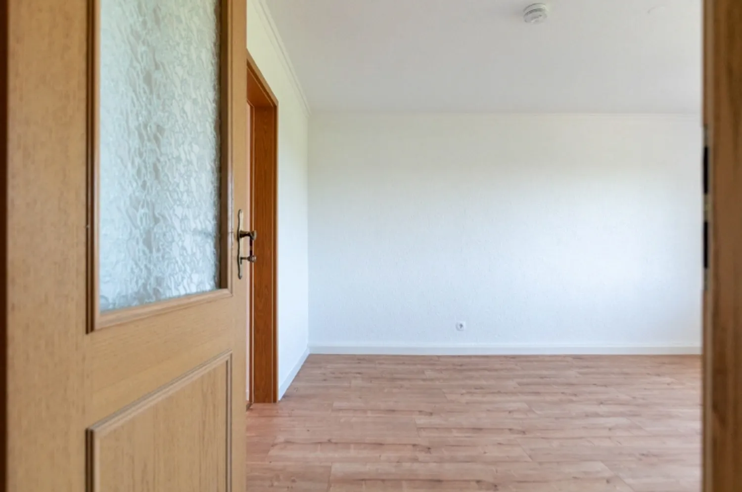 2 room apartment with 48 m² in Dresden – Photo 9