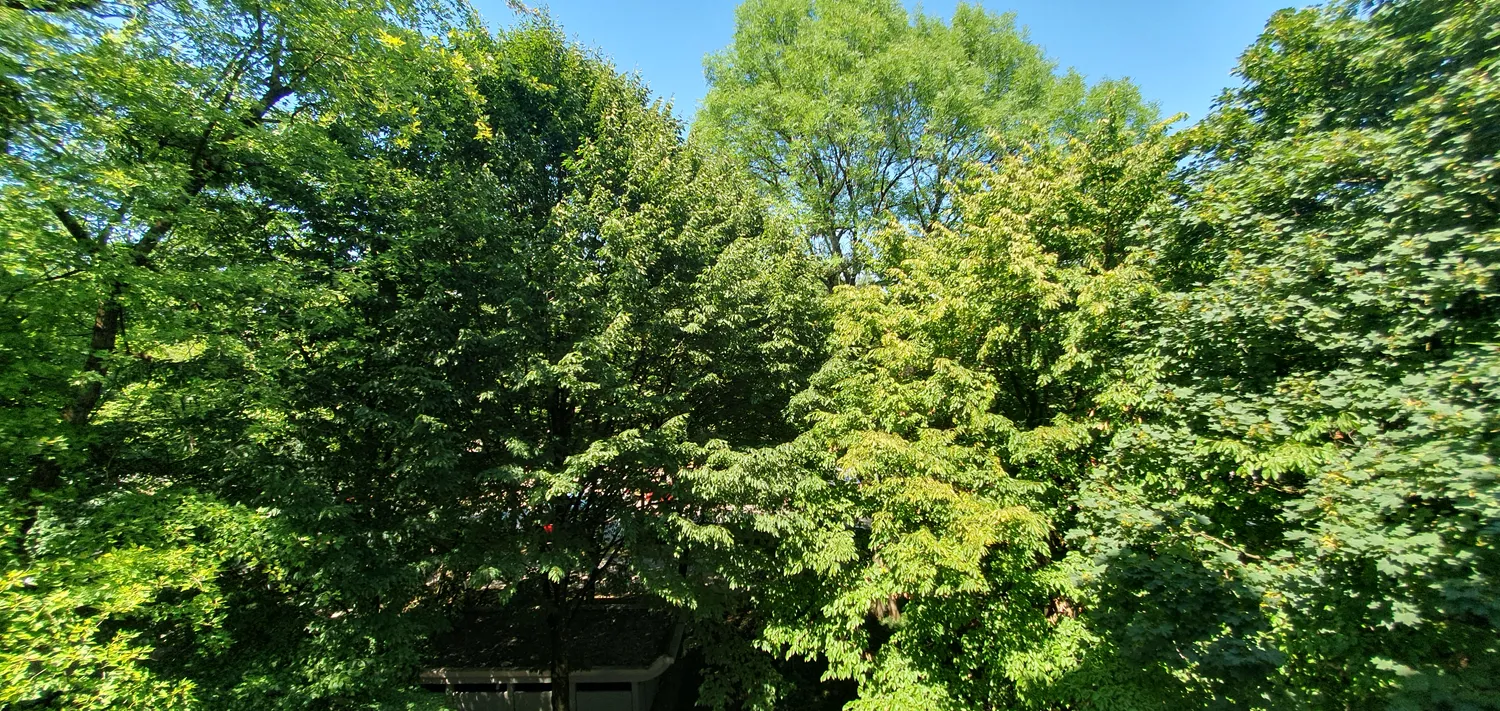 3 Zimmer Wohnung mit 78 m² in München – Bild 8
