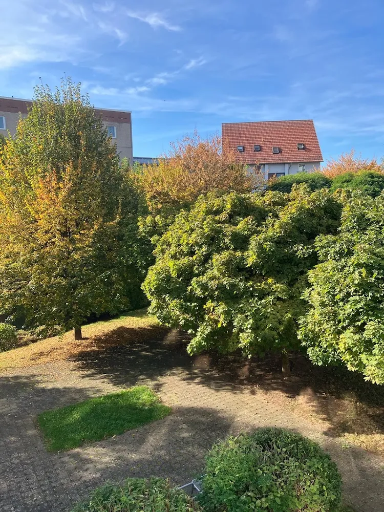 4 Zimmer Wohnung mit 84 m² in Nordhausen – Bild 1