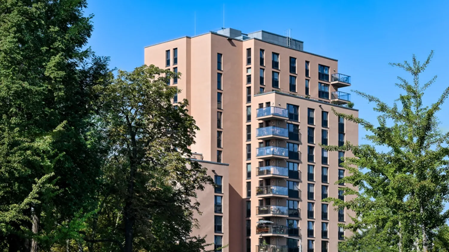 4 Zimmer Wohnung mit 210 m² in Dresden – Bild 1