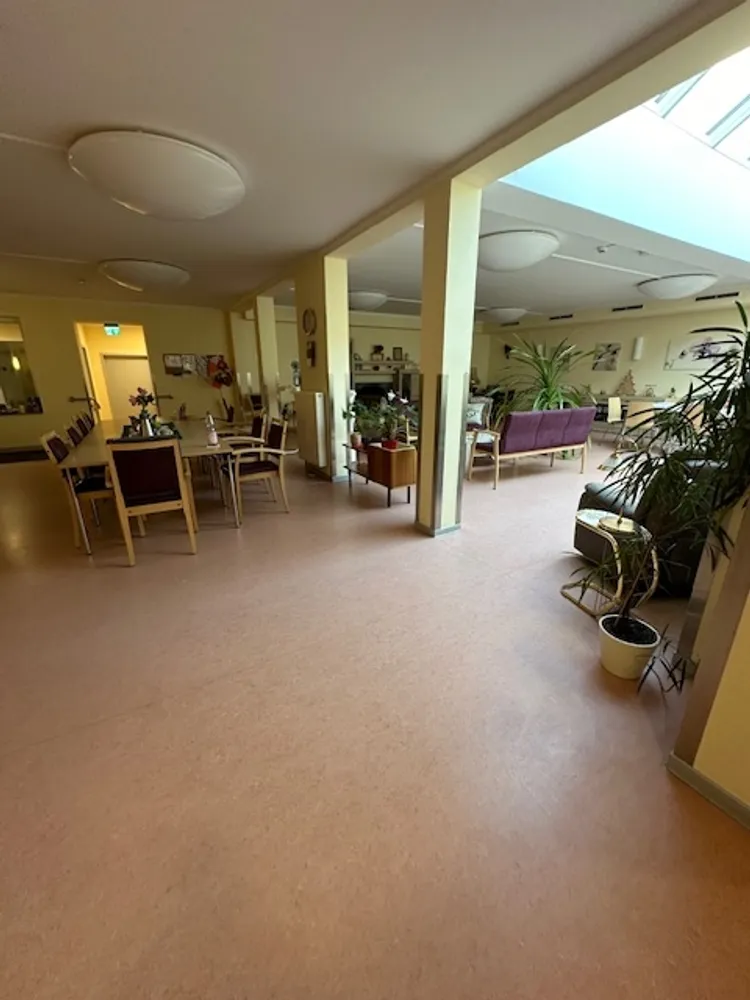 1 room apartment with 50 m² in Limbach-Oberfrohna – Photo 3