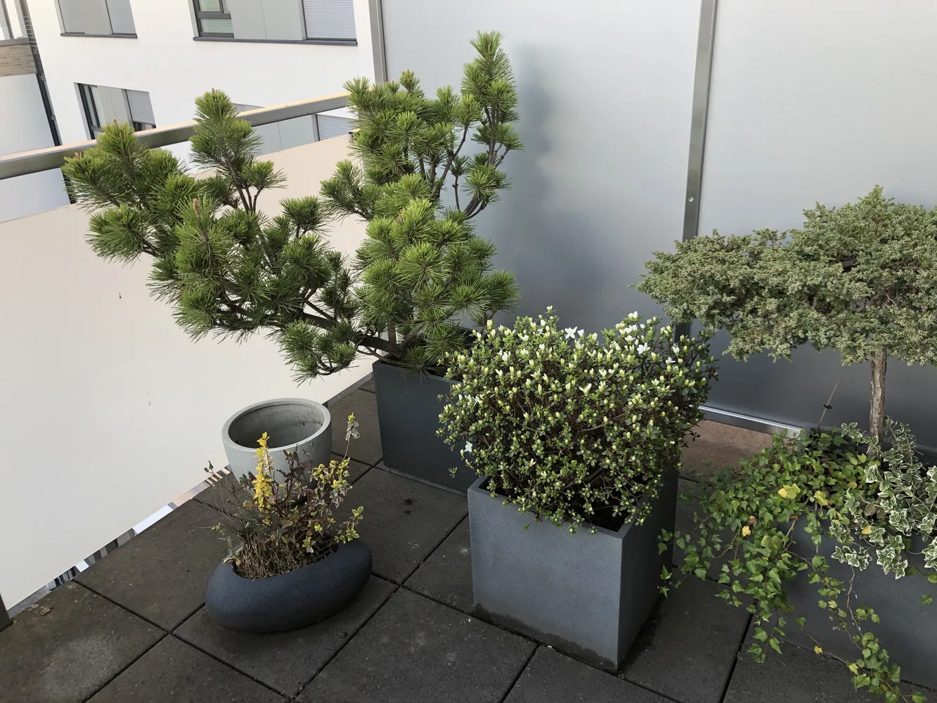 2 Zimmer Wohnung mit 69 m² in Essen – Bild 8