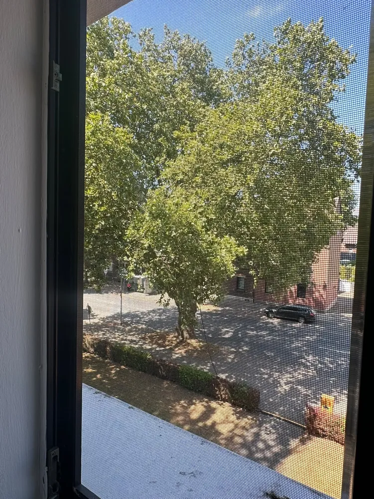 2 Zimmer Wohnung mit 45 m² in Herne – Bild 3