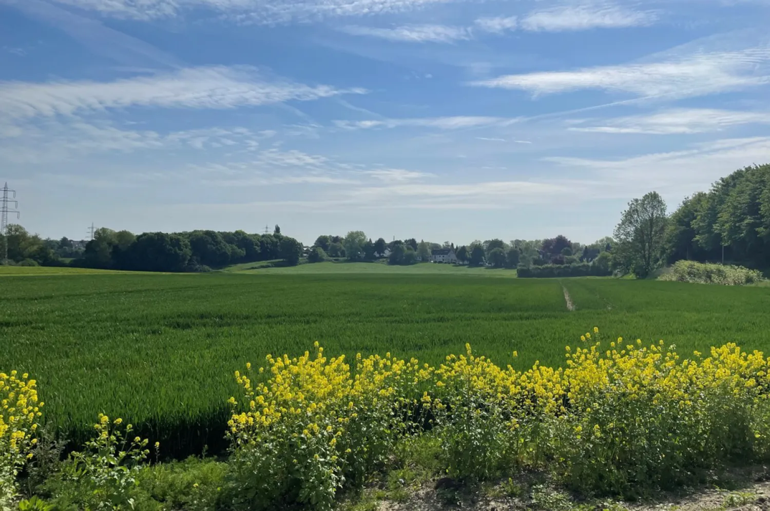 4 Zimmer Wohnung mit 75 m² in Mülheim an der Ruhr – Bild 3