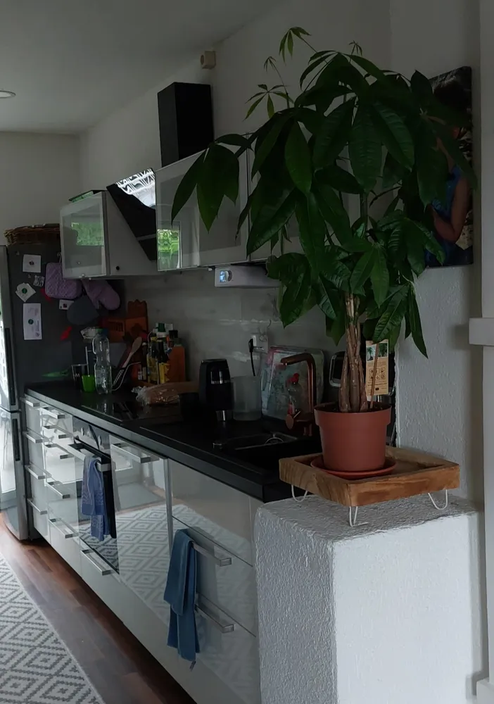 5 Zimmer Wohnung mit 102 m² in Halle (Saale) – Bild 3