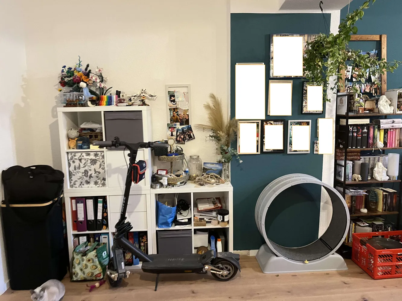 2 Zimmer Wohnung mit 60 m² in Euskirchen – Bild 3
