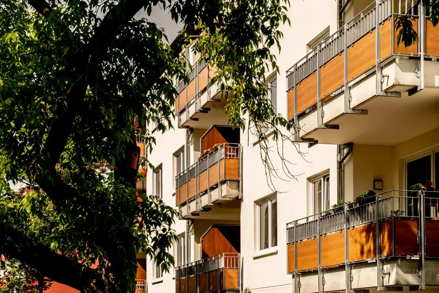 2 Zimmer Wohnung mit 41 m² in Plauen – Bild 3