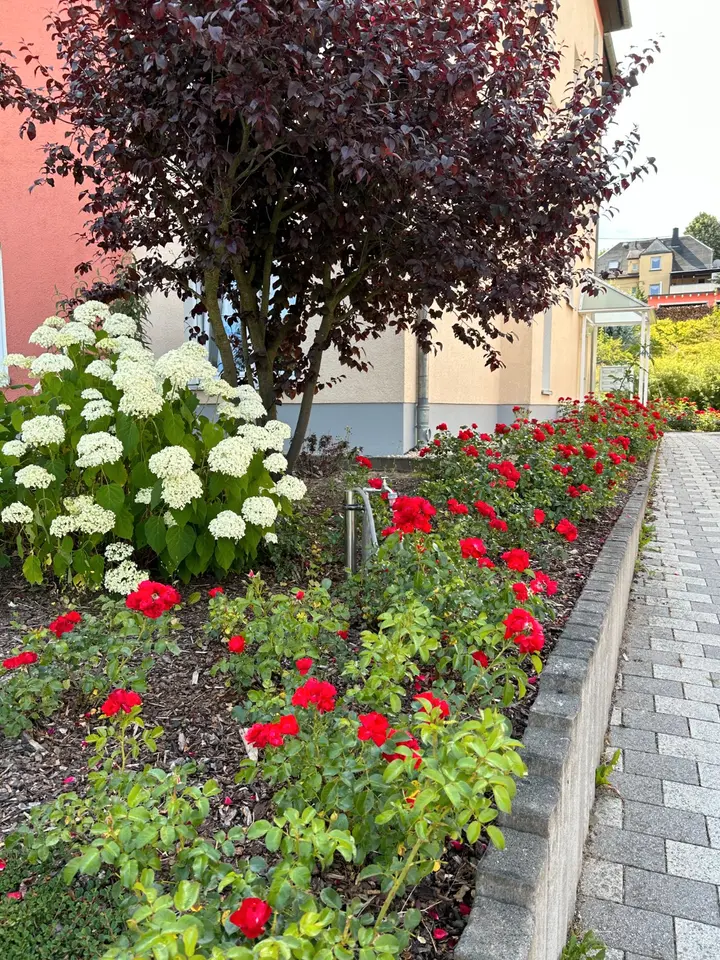 3 Zimmer Wohnung mit 65 m² in Aue-Bad Schlema – Bild 5