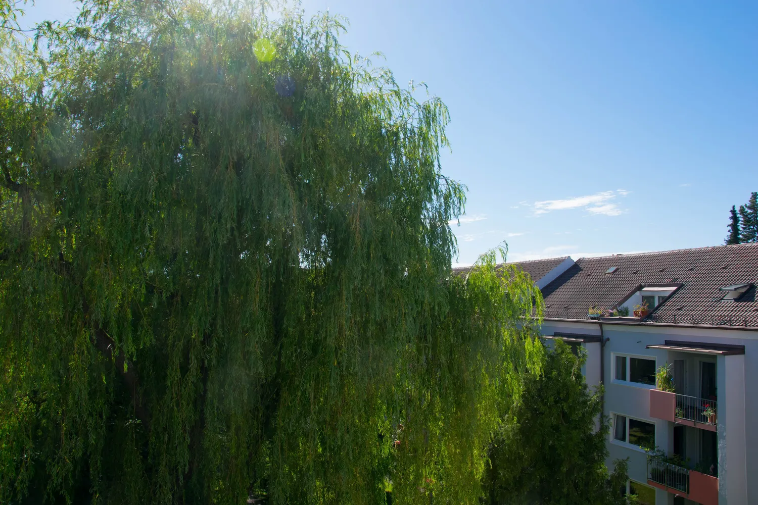 2 Zimmer Wohnung mit 62 m² in München – Bild 3