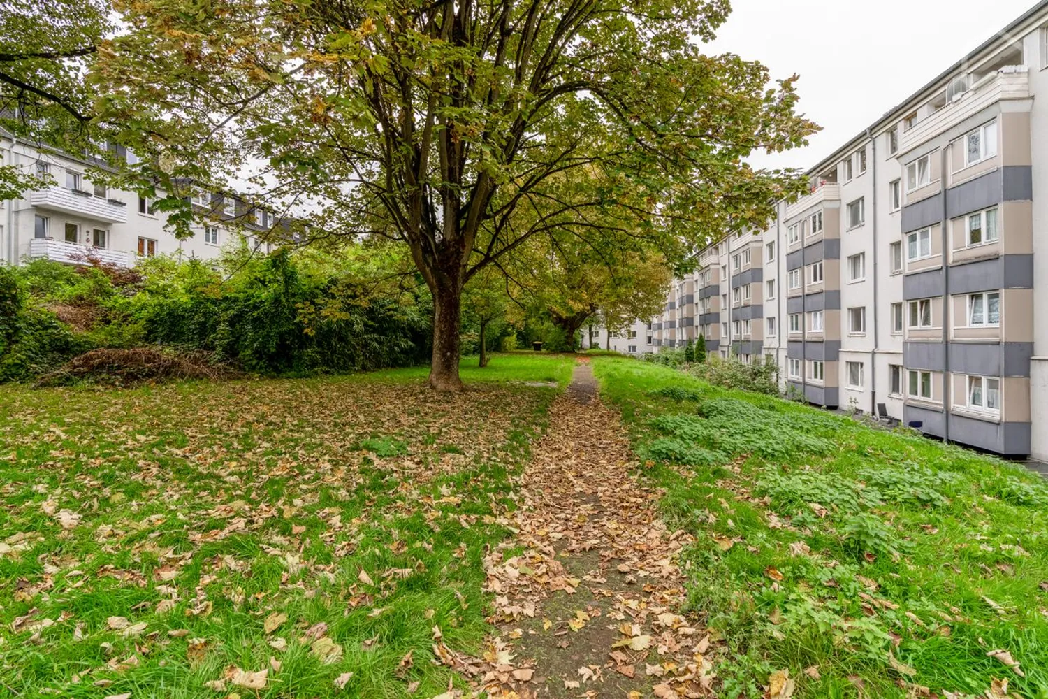 3 Zimmer Wohnung mit 62 m² in Essen – Bild 4