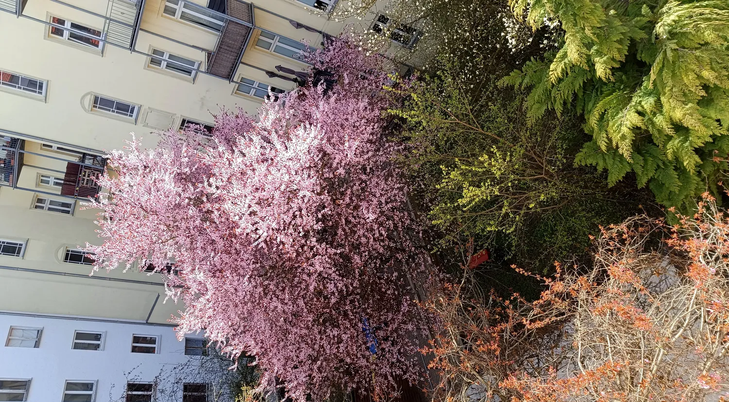 1 Zimmer Wohnung mit 40 m² in Berlin – Bild 2
