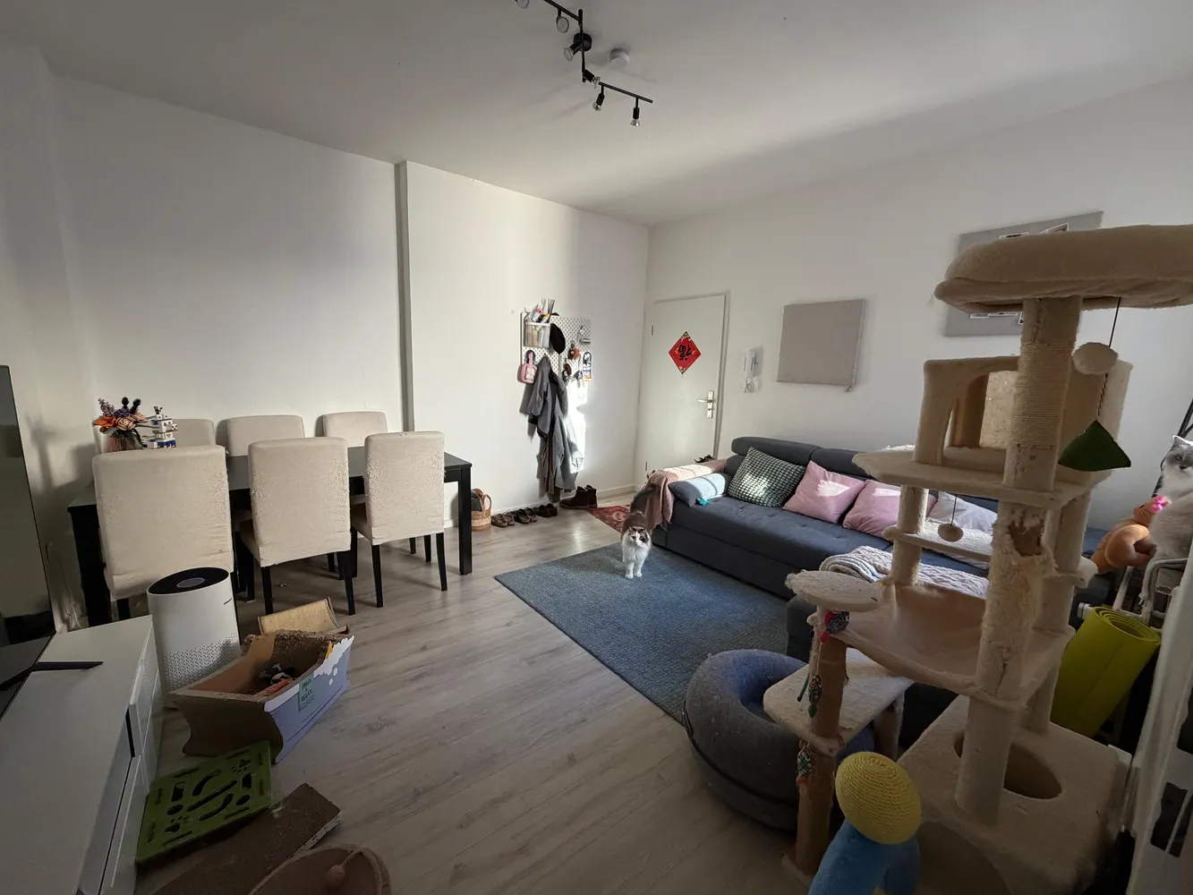 2 Zimmer Wohnung mit 65 m² in Aachen – Bild 2