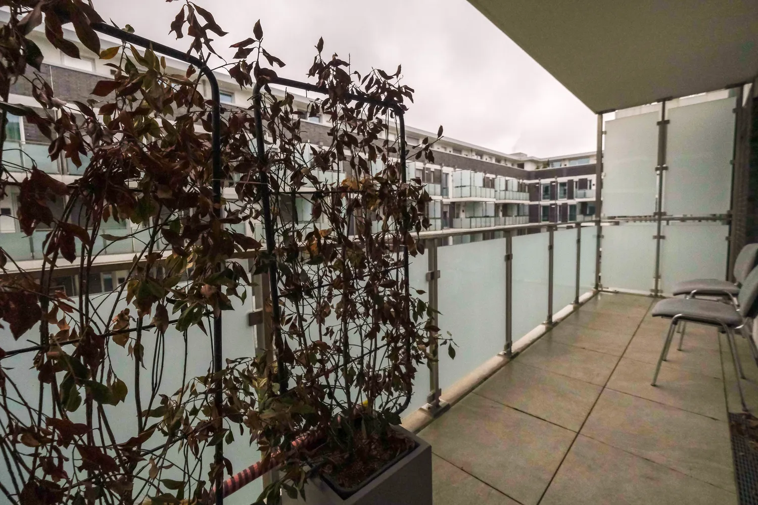 2 room apartment with 53 m² in Frankfurt am Main – Photo 4