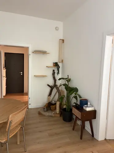 3 Zimmer Wohnung mit 44 m² in Aachen – Bild 8