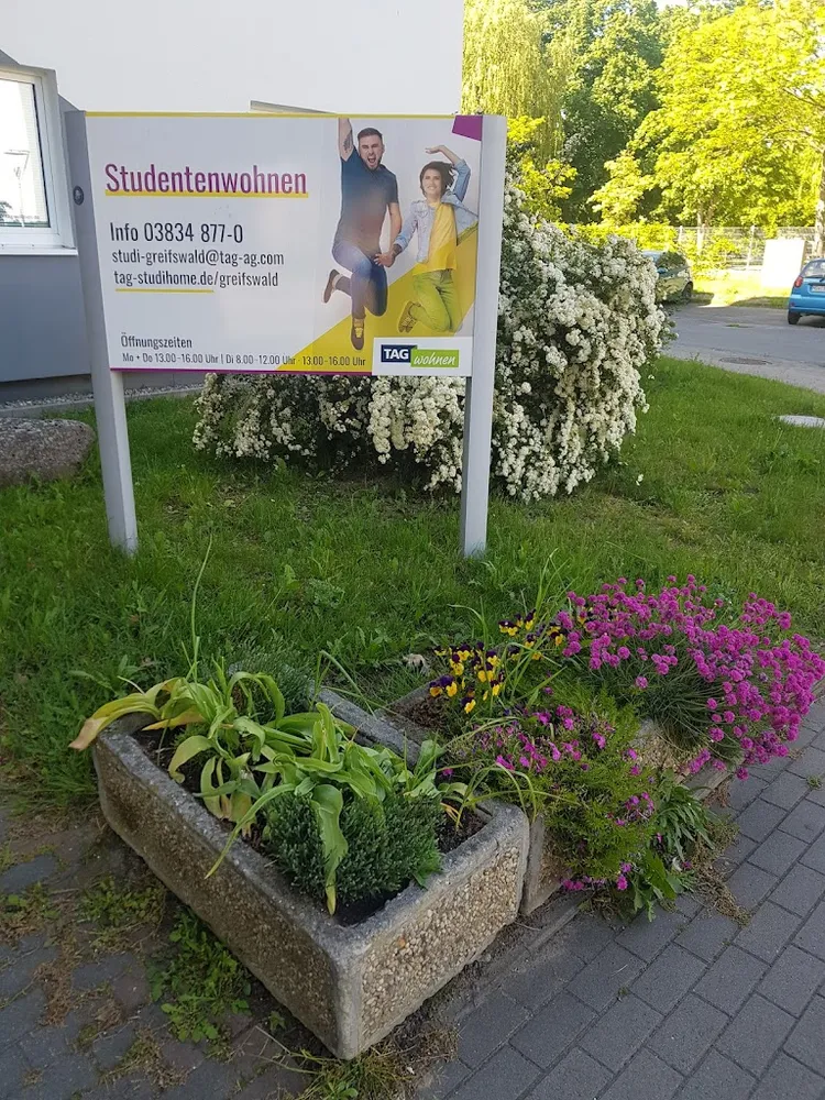 1 Zimmer Wohnung mit 20 m² in Greifswald – Bild 5