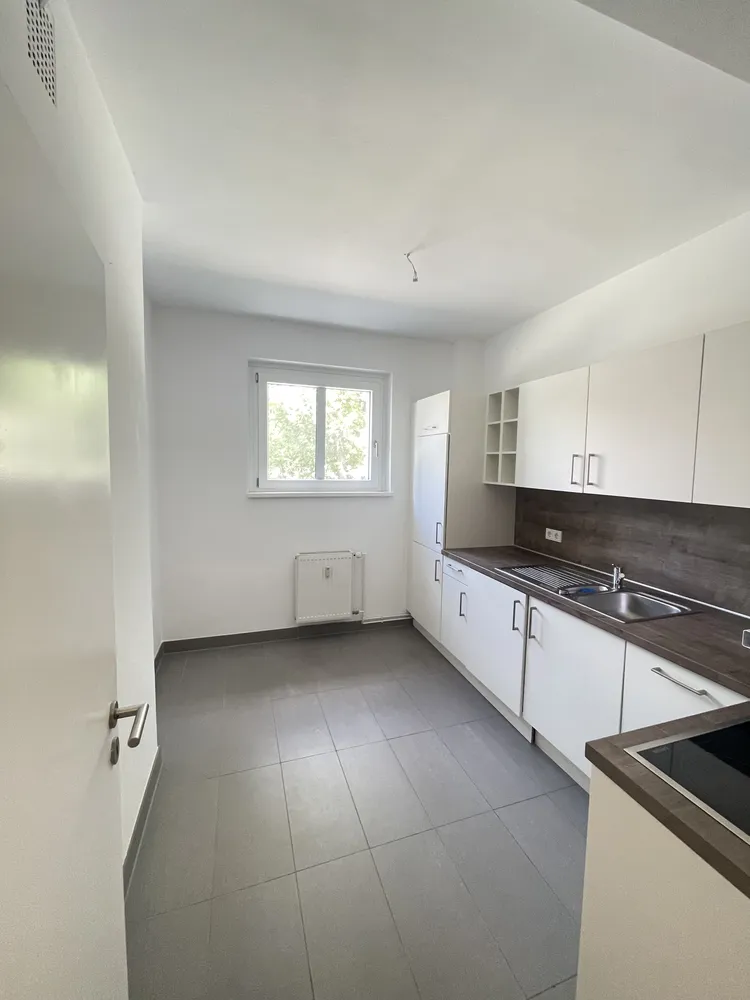 2 room apartment with 56 m² in Berlin – Photo 4