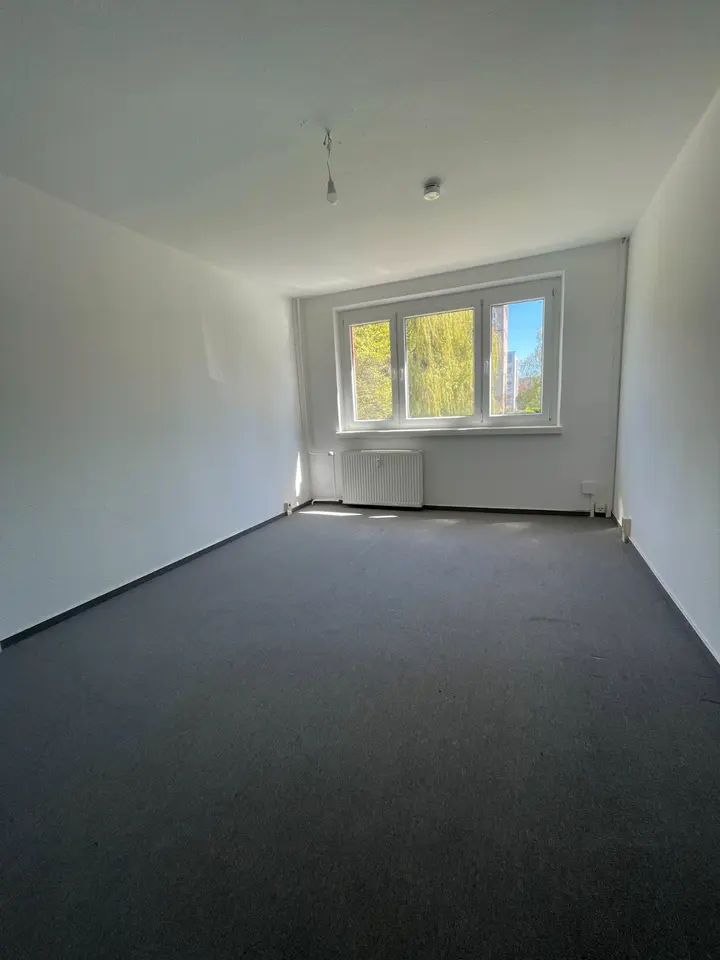 Studio mit 24 m² in Quedlinburg – Bild 1