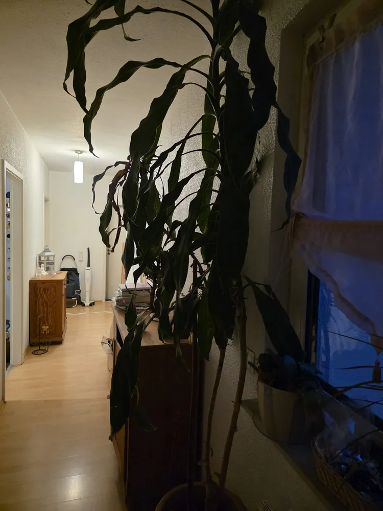 3 Zimmer Wohnung mit 76 m² in Kaiserslautern – Bild 4