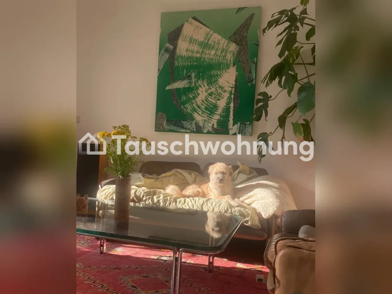 2 room apartment with 44 m² in Cologne – Photo 9