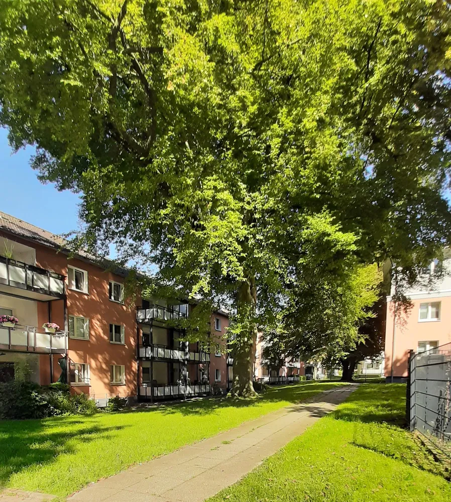 2 room apartment with 50 m² in Dortmund – Photo 2