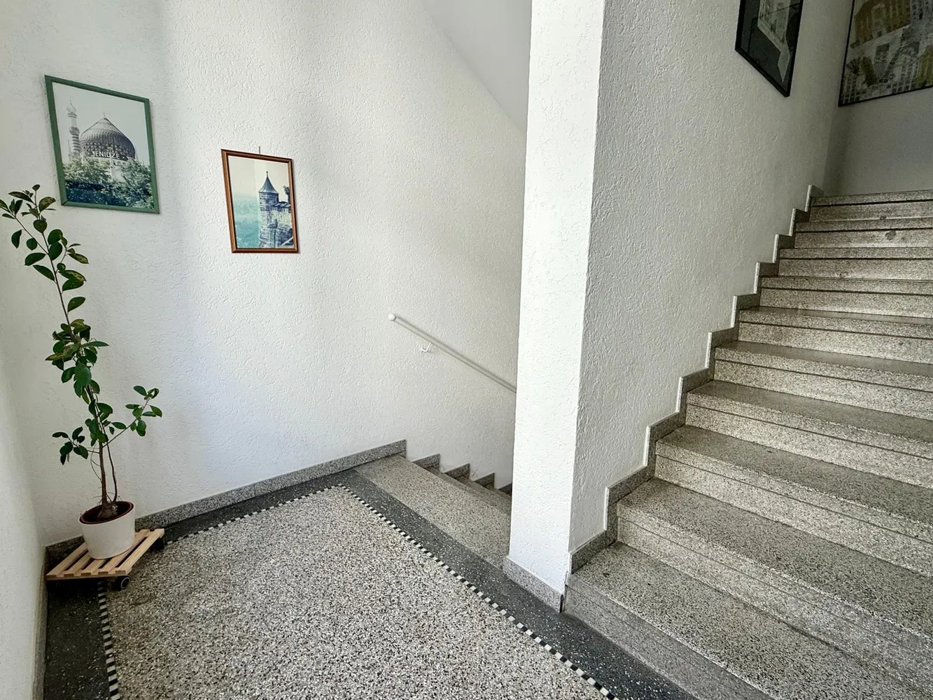 3 room apartment with 61 m² in Dresden – Photo 4
