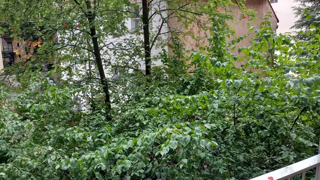 3 Zimmer Wohnung mit 90 m² in Nürnberg – Bild 12