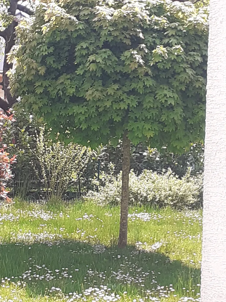1 room apartment with 38 m² in Dreieich – Photo 11