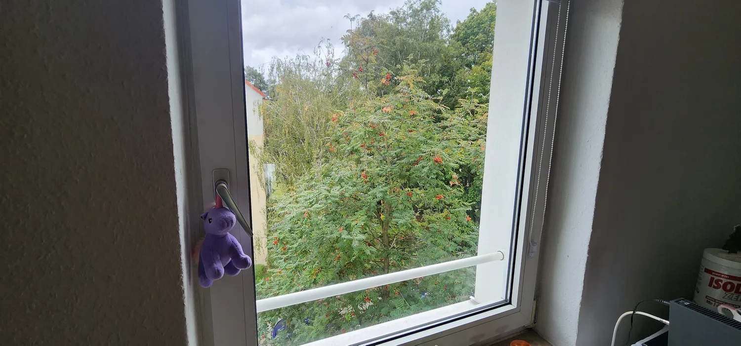 2 room apartment with 43 m² in Hanover – Photo 6
