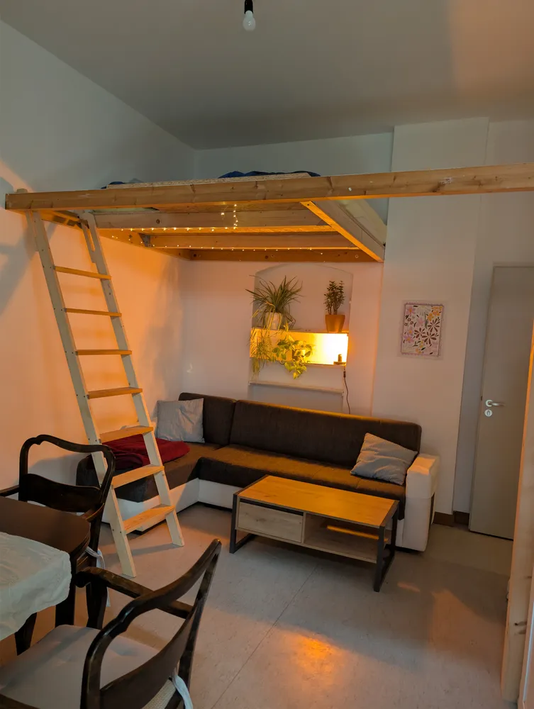 1 Zimmer Wohnung mit 33 m² in Dresden – Bild 6