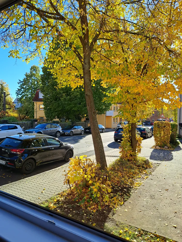 1 Zimmer Wohnung mit 20 m² in Bayreuth – Bild 1