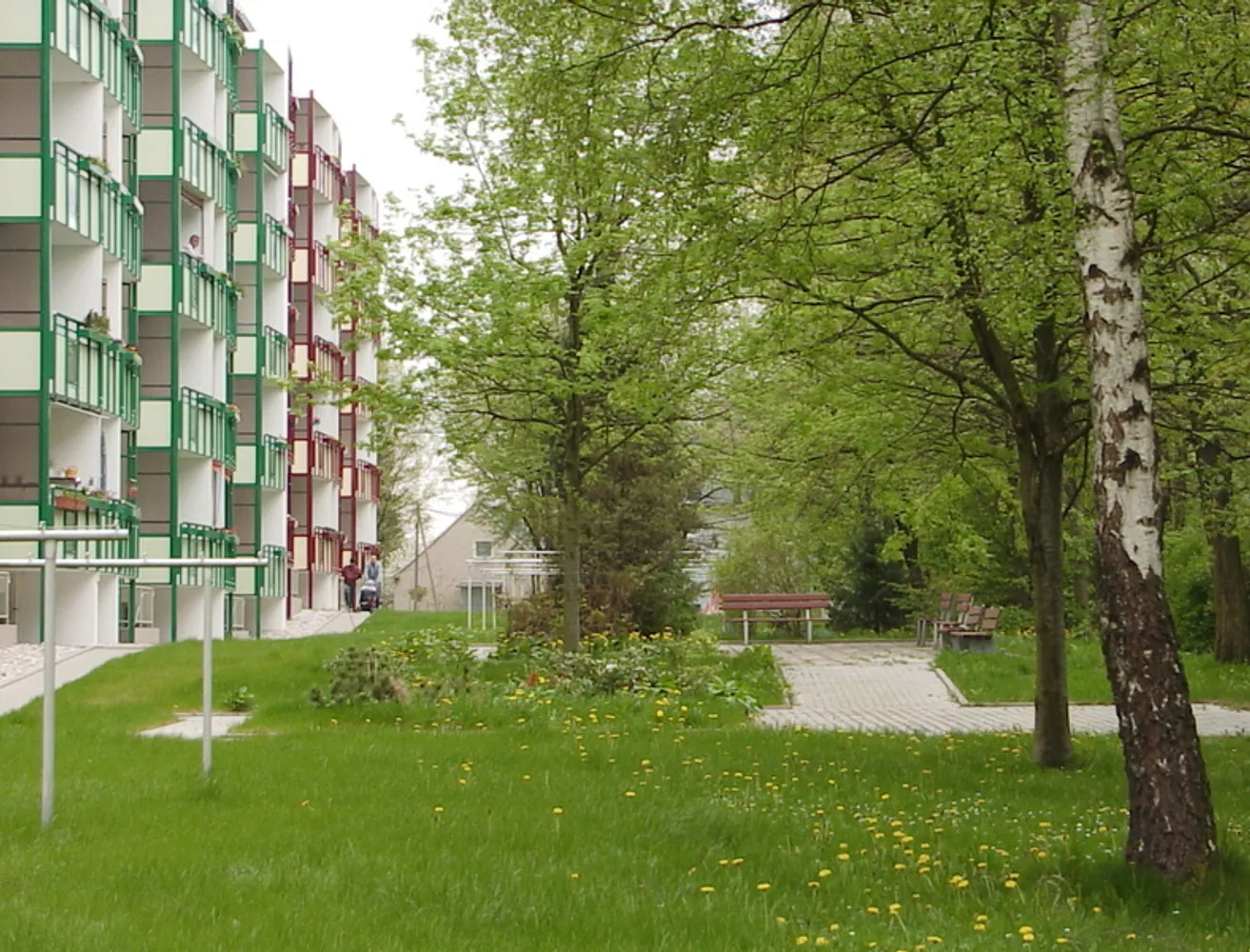 3 Zimmer Wohnung mit 59 m² in Chemnitz – Bild 2