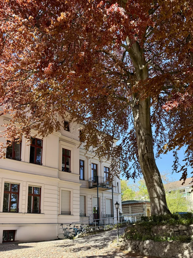 4 Zimmer Wohnung mit 125 m² in Potsdam – Bild 1