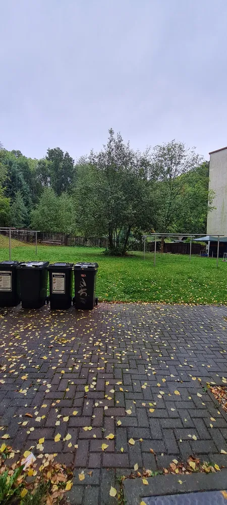 2 room apartment with 43 m² in Chemnitz – Photo 3