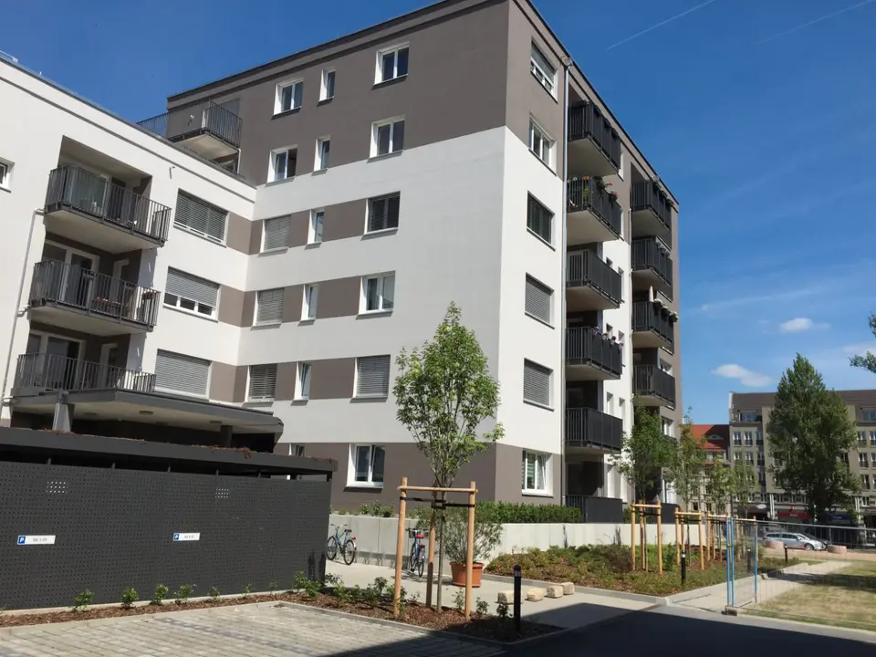 3 Zimmer Wohnung mit 72 m² in Dresden – Bild 4