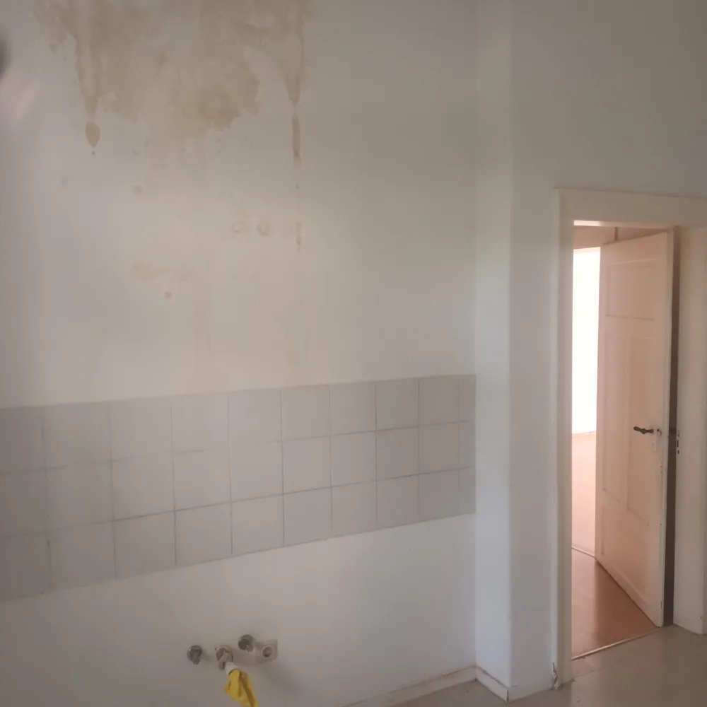 2 room apartment with 49 m² in Chemnitz – Photo 12