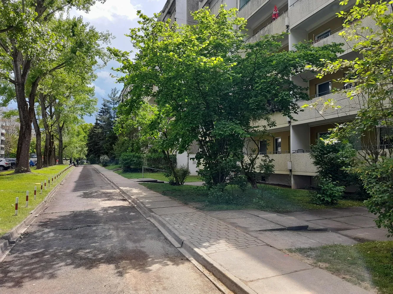 3 Zimmer Wohnung mit 64 m² in Dresden – Bild 3