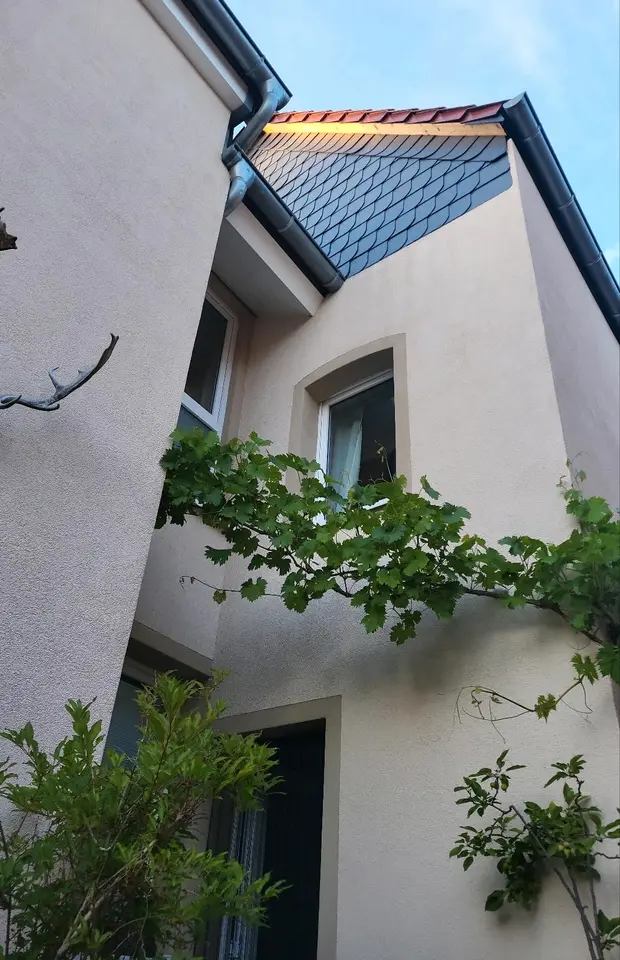2 Zimmer Wohnung mit 21 m² in Mainz – Bild 3
