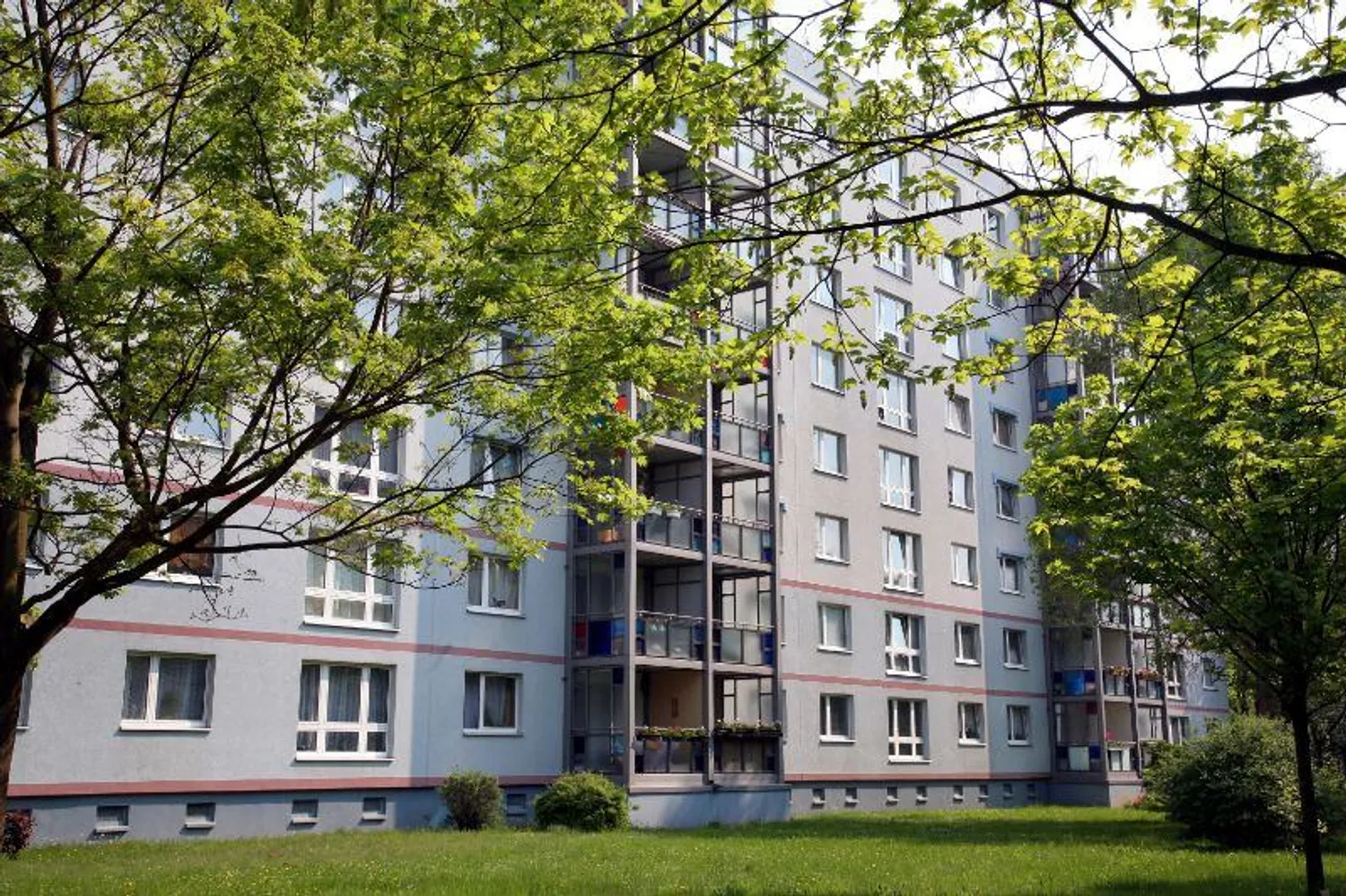 3 Zimmer Wohnung mit 75 m² in Magdeburg – Bild 2