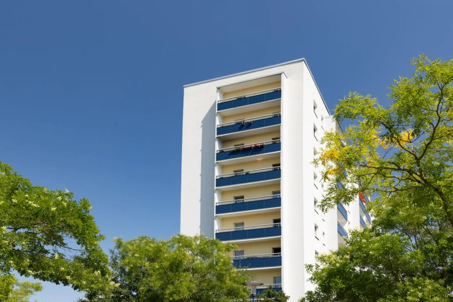 3 Zimmer Wohnung mit 58 m² in Halle (Saale) – Bild 3