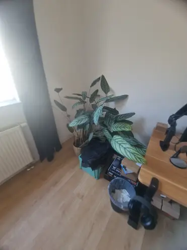 2 Zimmer Wohnung mit 25 m² in Aachen – Bild 1