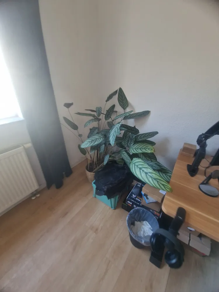 2 Zimmer Wohnung mit 25 m² in Aachen – Bild 1