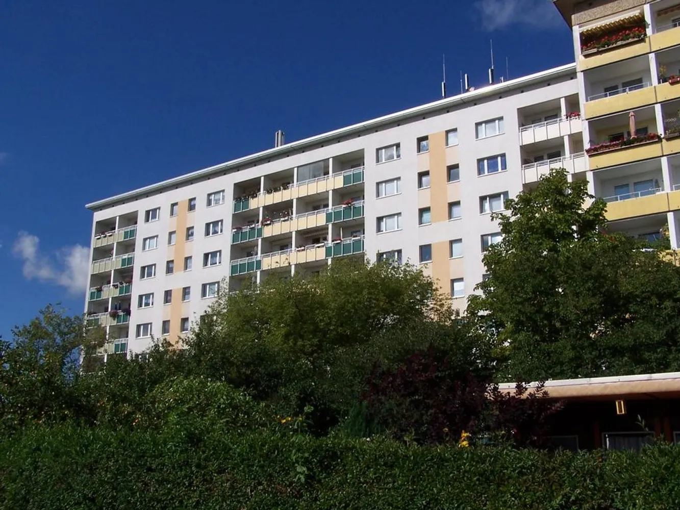 2 room apartment with 46 m² in Chemnitz – Photo 2