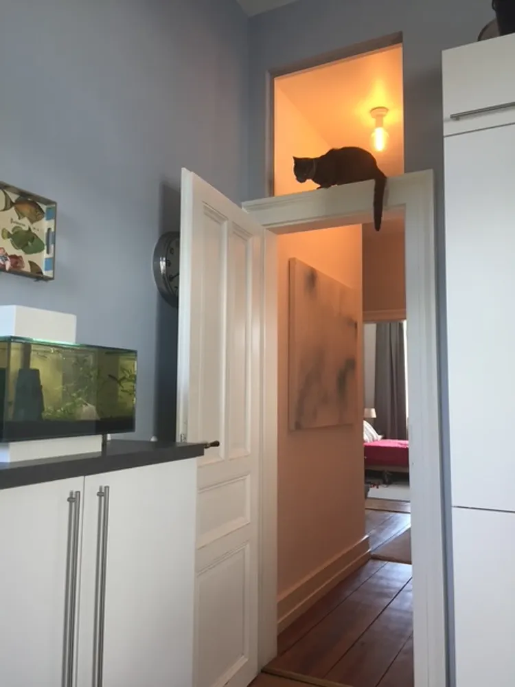 1 room apartment with 18 m² in Frankfurt am Main – Photo 7