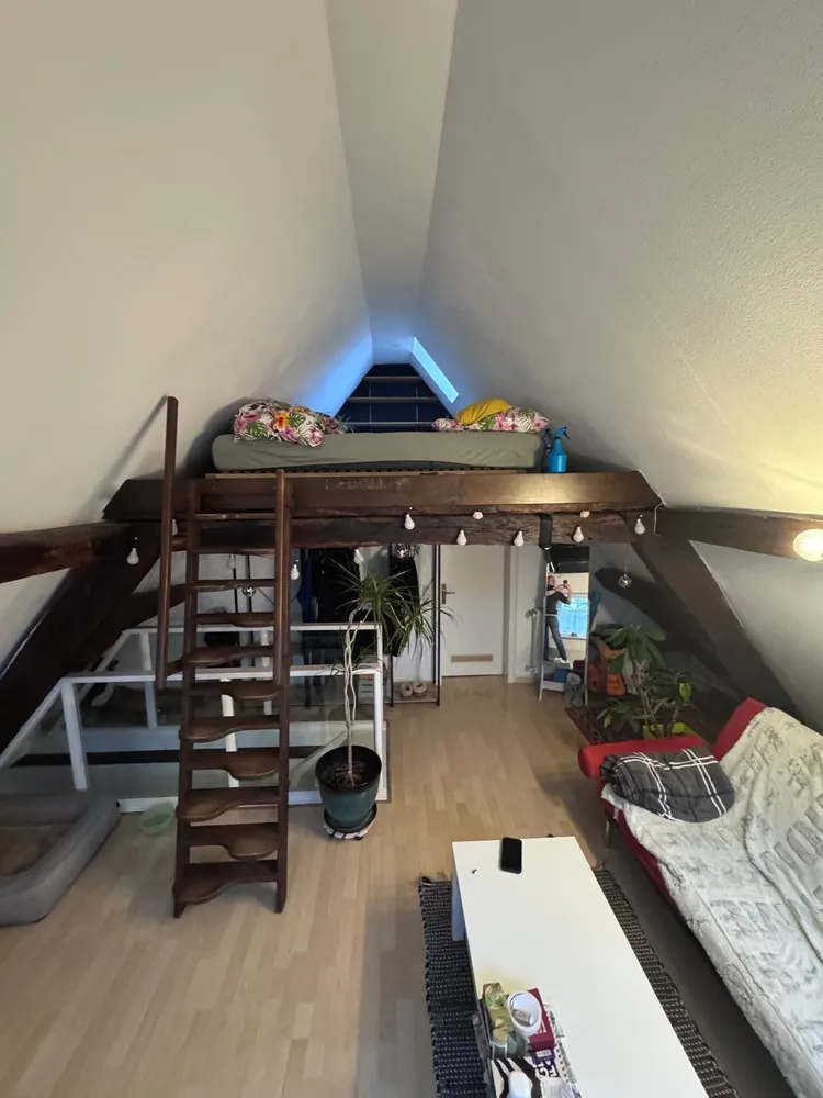 2 room apartment with 50 m² in Dietzenbach – Photo 5