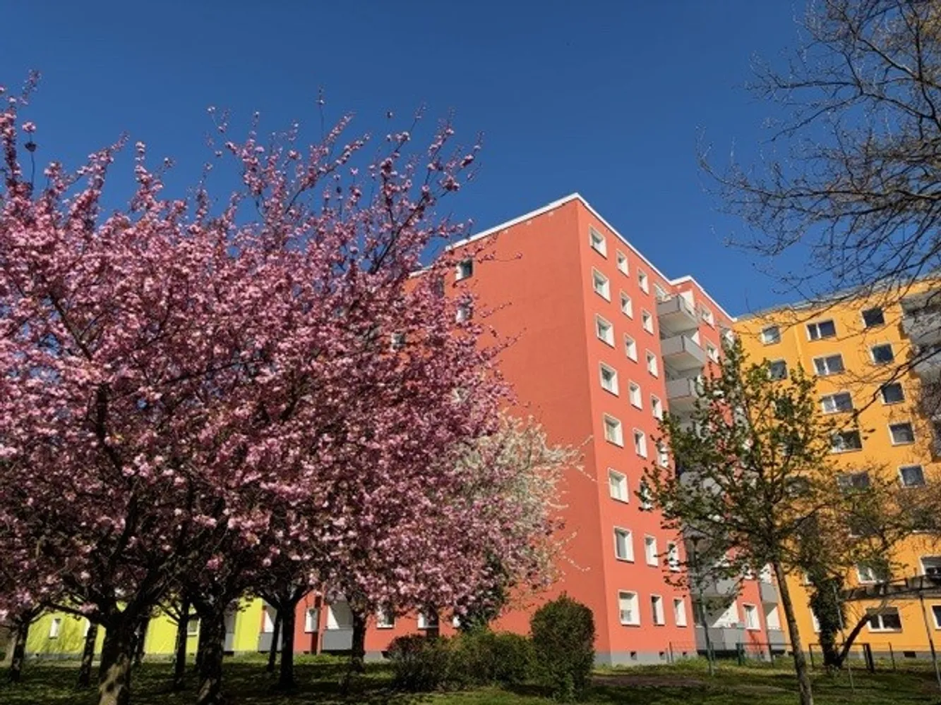 2 Zimmer Wohnung mit 61 m² in Duisburg – Bild 3