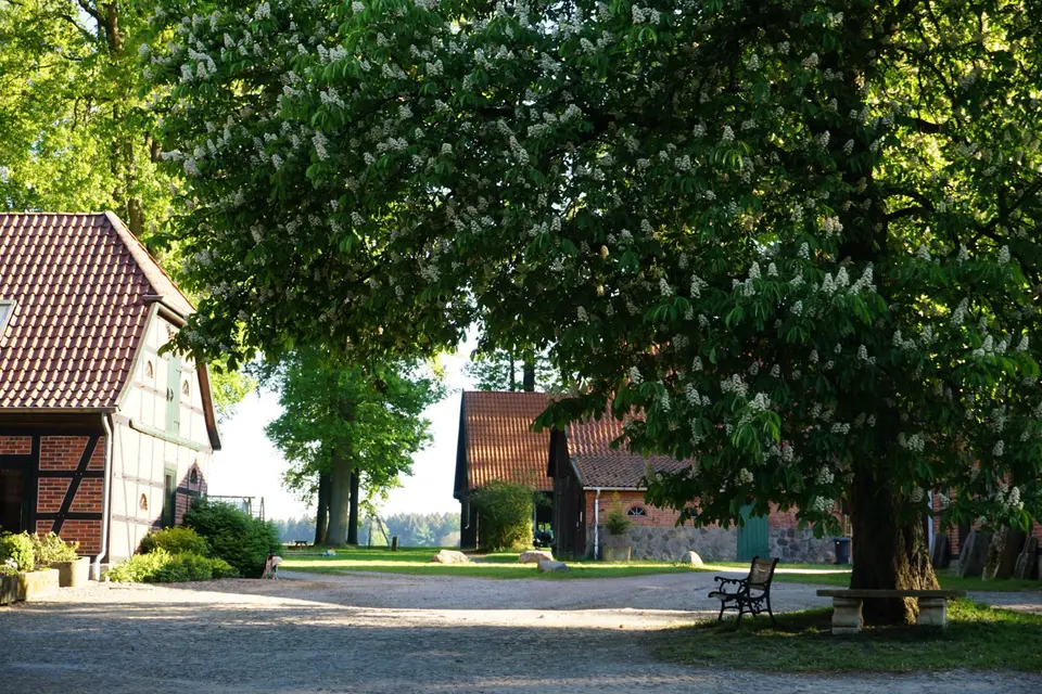 4 Zimmer Wohnung mit 90 m² in Soltau – Bild 4