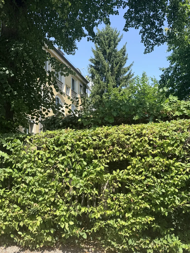2 room apartment with 45 m² in Munich – Photo 1