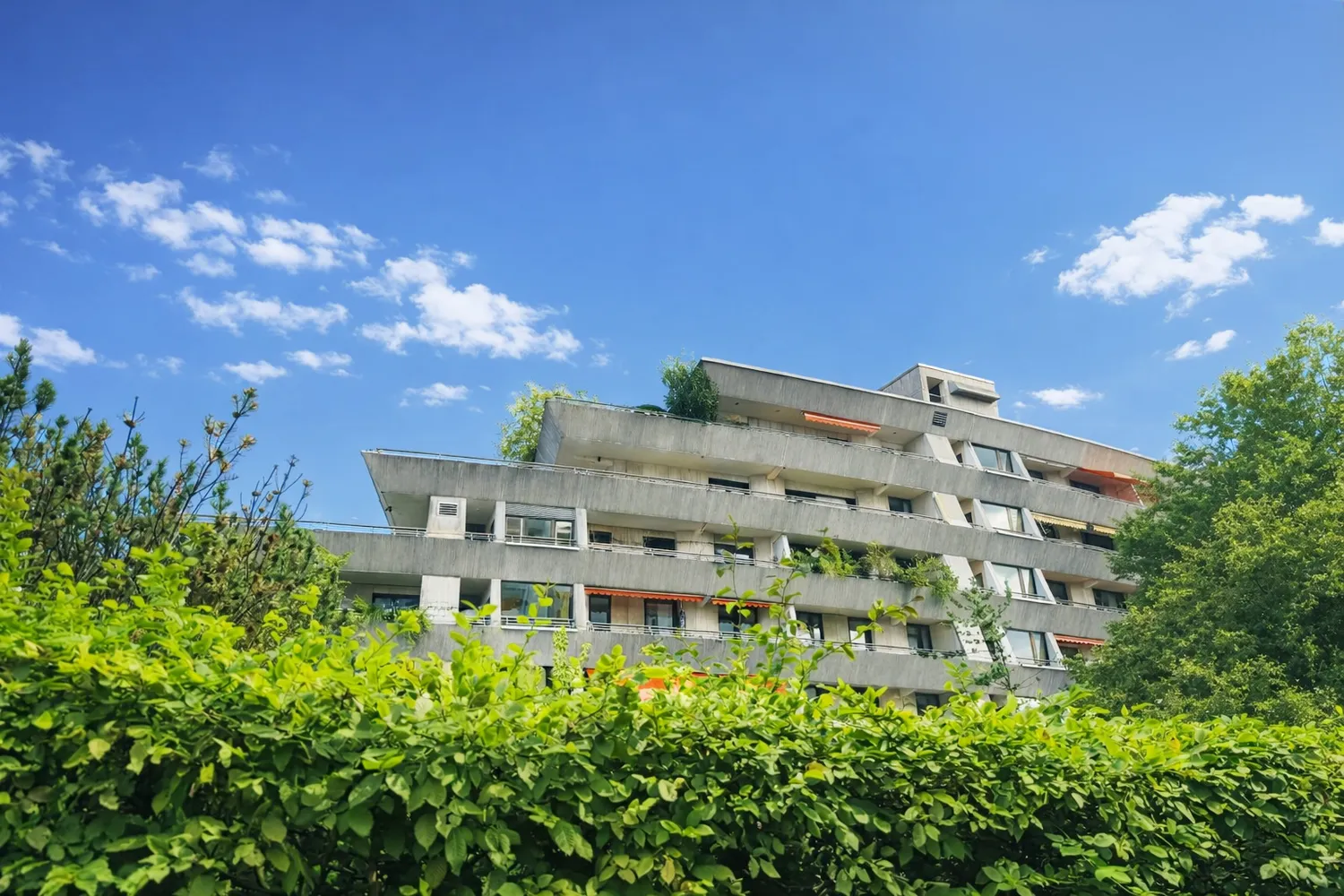 3 Zimmer Wohnung mit 164 m² in Frankfurt am Main – Bild 10