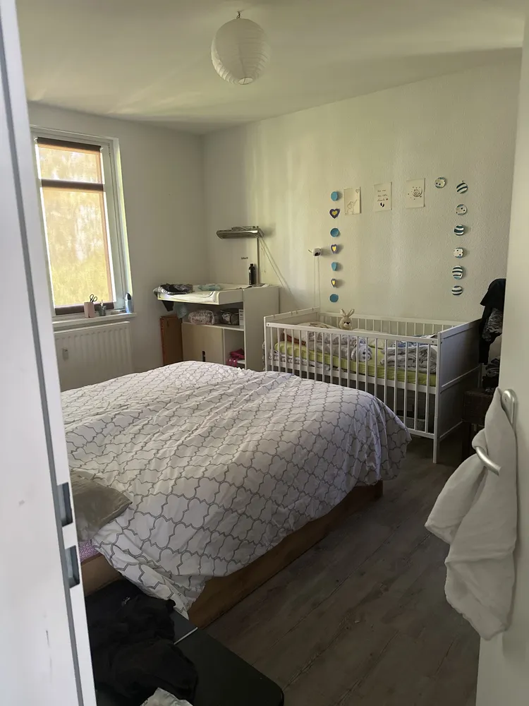 3 Zimmer Wohnung mit 67 m² in Potsdam – Bild 3